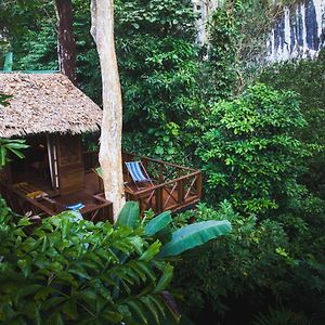 Отель Our Jungle House Khao Sok National Park Exterior photo